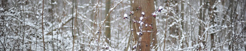 株式会社エー・アンド・エル