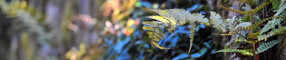 株式会社エー・アンド・エル